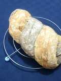 Pane Bicolor