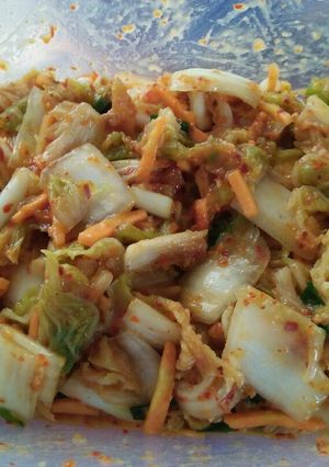 Foto resep Kimchi Sawi Putih pake Boncabe