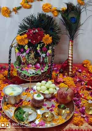पंचामृत प्रसाद,मक्खन मिश्री प्रसाद,मावा के पेड़े रेसिपी मुख्य फोटो