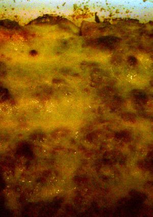 A picture of Lasagna Rolls.