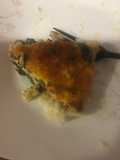 Spinach quiche with potato crust