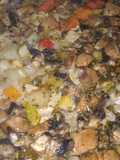 French Style Vegetarian Stew