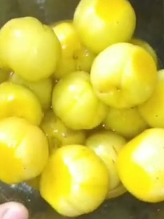 ખાટા આમળા આથેલા (Khata Amla Athela Recipe In Gujarati) રેસીપી મુખ્ય ફોટો