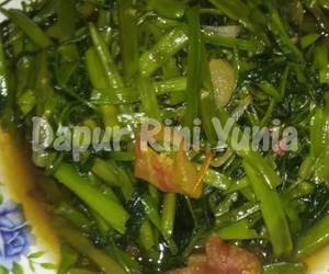 Resep Mudah Tumis Kangkung Saus tiram Praktis Enak