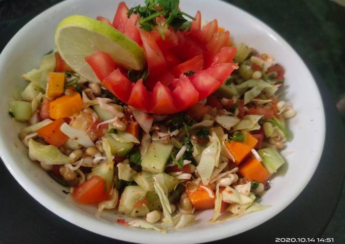 Healthy Sprout Vegetable Salad