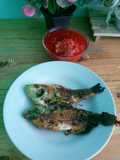 Ikan Nila Bakar