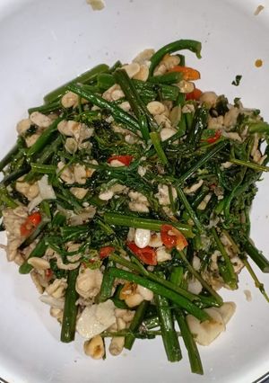 Foto resep Tumis Pakis