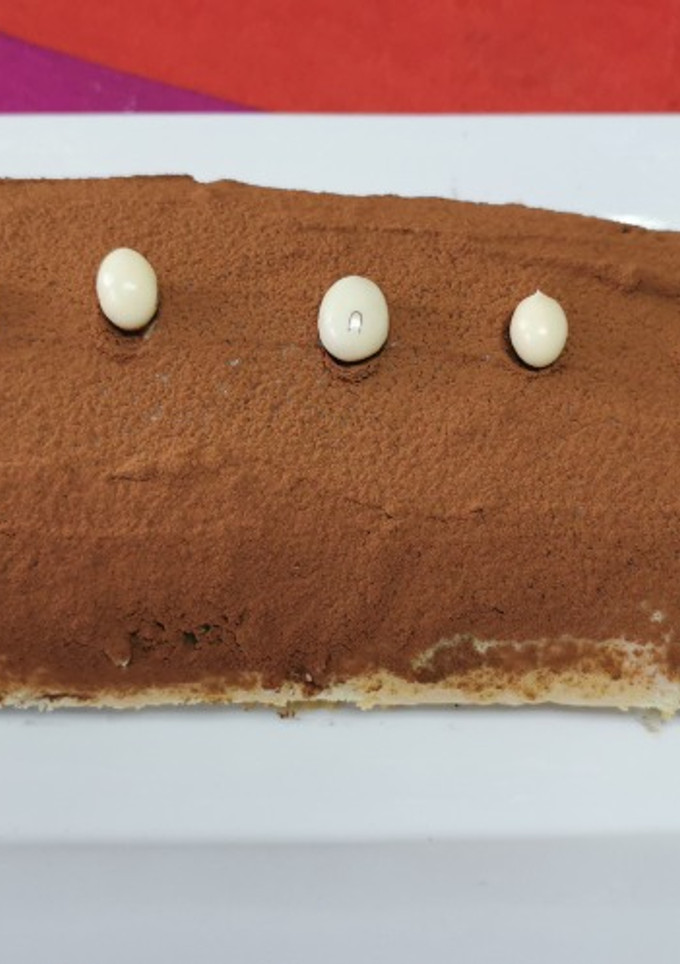 Una foto de Brazo de tiramisú. Thermomix