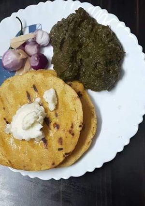 A picture of Saag with makkai ki roti.