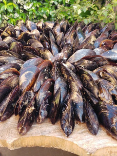 Una foto de Mejillones asados. Éclade de moules
