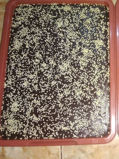 Foto resep Jenang/dodol ketan hitam
