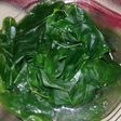 Tumis sayur daun katuk simpel