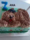 Torta perrito lanudo