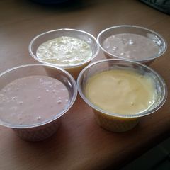 A picture of Vickys Homemade Yogurt using Powdered Non-Dairy Milk, No special equipment.