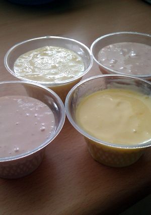 A picture of Vickys Homemade Yogurt using Powdered Non-Dairy Milk, No special equipment.