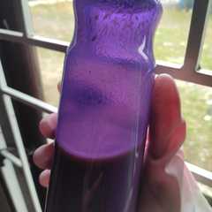 รูปของ Susu kurma