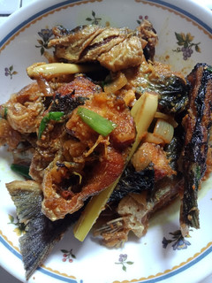 Foto resep Patin Gurih Manis