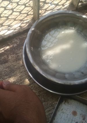 A picture of Home made yeast.