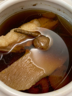 冬蟲夏草燉豬骨湯 的食譜成品照片