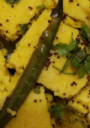 बेसन ढोकला (besan dhokla recipe in Hindi) रेसिपी मुख्य फोटो