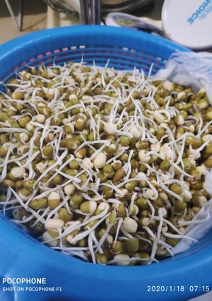 Foto resep Toge pendek