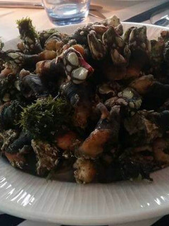 Una foto de Percebes cocidos