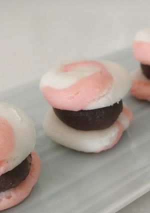 Une photo de <Jouyo-Wagashi> en forme du Macaron