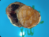 Tortitas de Avena