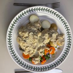 A picture of Pheasant breast in a sour cream sauce.