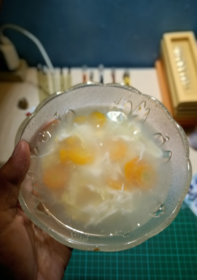 Foto resep Sup wortel telur versi 1