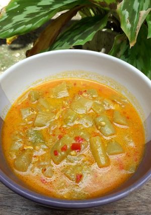 Foto resep Sayur Lompong Masak Santan