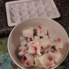 A picture of Frozen Yogurt squares.
