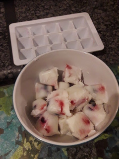 A picture of Frozen Yogurt squares.