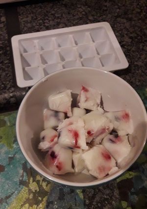 A picture of Frozen Yogurt squares.