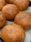 Panini per hamburger (burger buns)