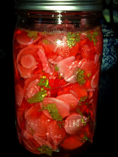 A picture of Becky's Pickled Radishes.
