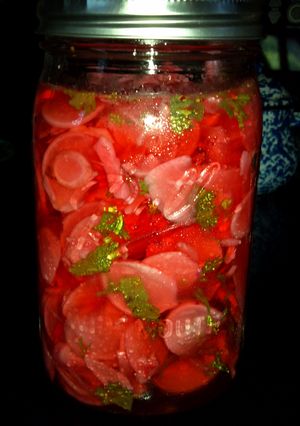 A picture of Becky's Pickled Radishes.