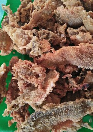 Foto resep Kulit ikan crispy
