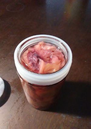 Una foto de Durazno en almíbar caseros