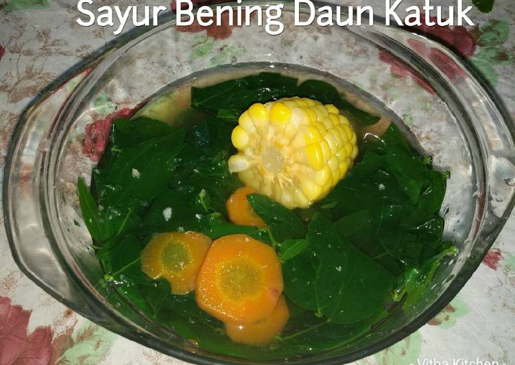 Sayur Bening Daun Katuk