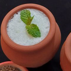 Creamy Mint Lassi A picture of Creamy Mint Lassi.