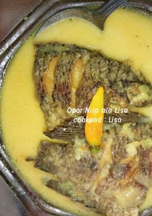 Foto resep Opor nila ala²