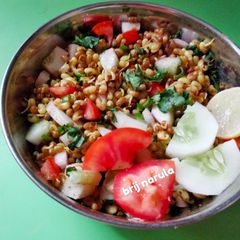 A picture of Sprouted Moth with fresh salad.