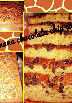 A picture of Banana chocolate chip cake.