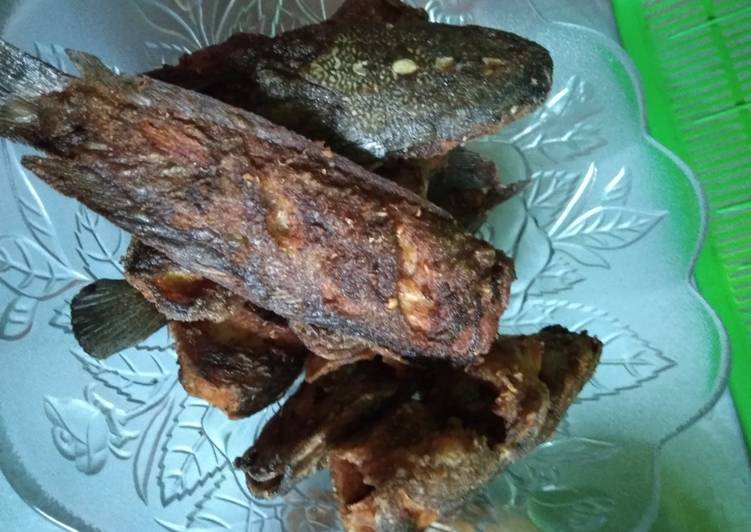 dari awal hingga akhir  Lalapan lele goreng yang Enak