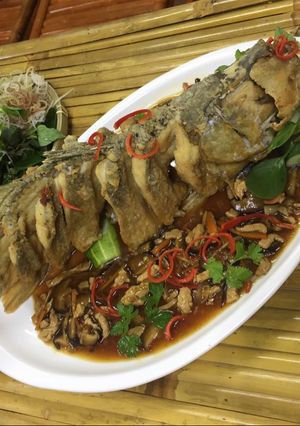 Hình của món Cá Chẽm Sốt Hồng Kong.