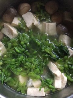Hình của món Bông thiên lý nấu nấm rơm đậu hũ.