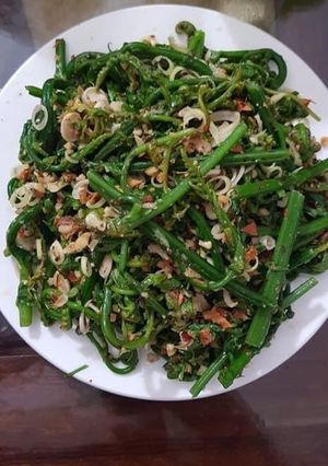 Hình của món Nộm rau dớn rừng.