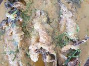 Gambar ikan cekur