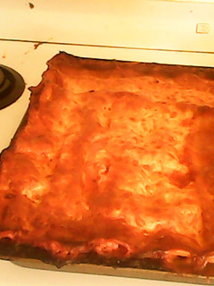 A picture of easy bake lasagna.